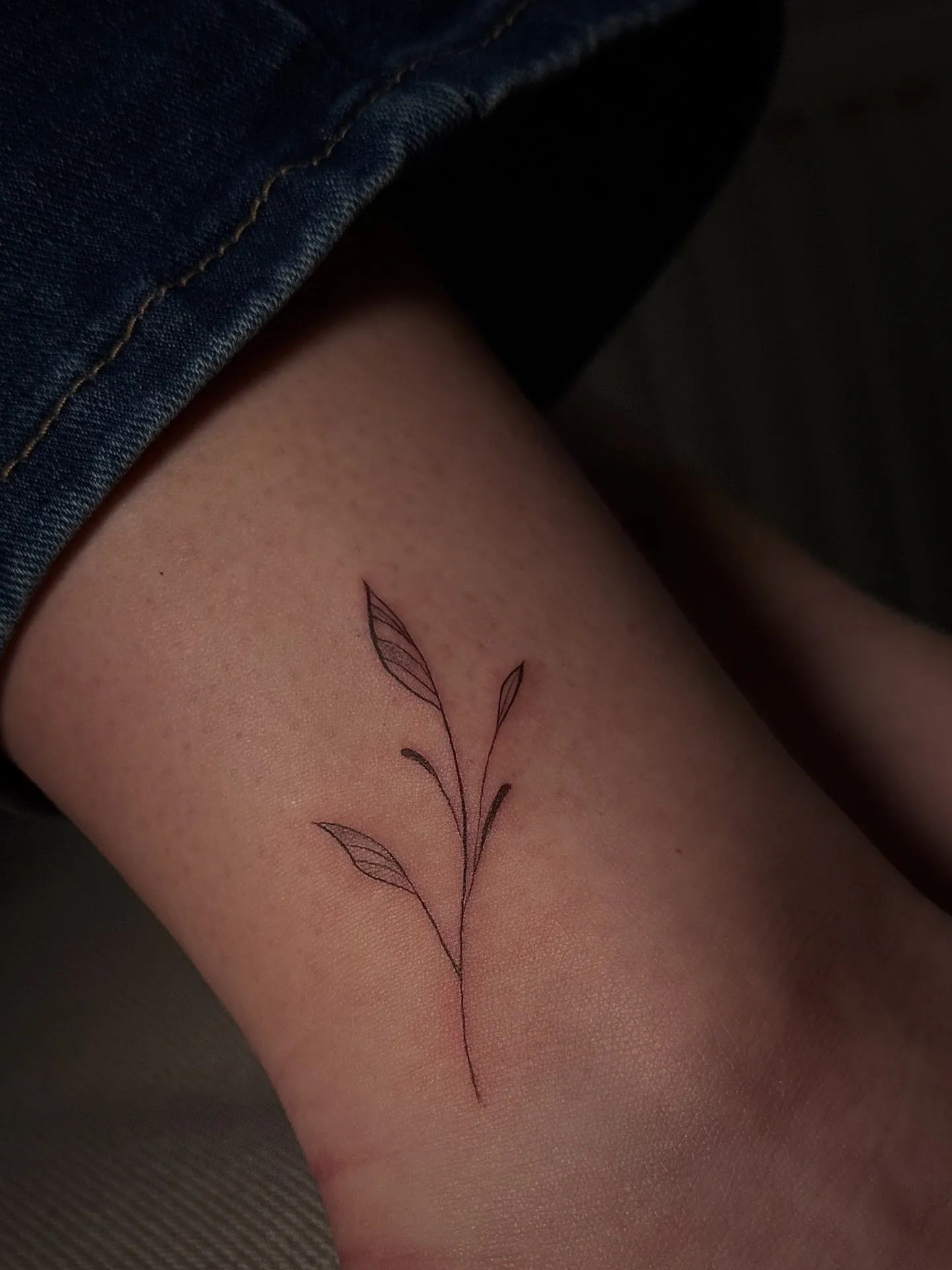 Fine line vine tattoo op de enkel